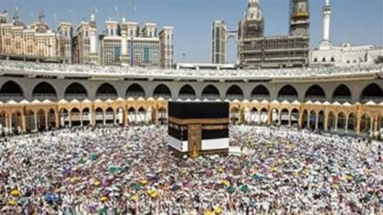 توجيهات جديدة.. شركات العمرة ملتزمة بالمعايير السعودية والمصرية